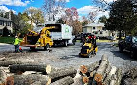 Trusted Inverness Highlands South, FL Tree Removal and Landscaping Services Experts